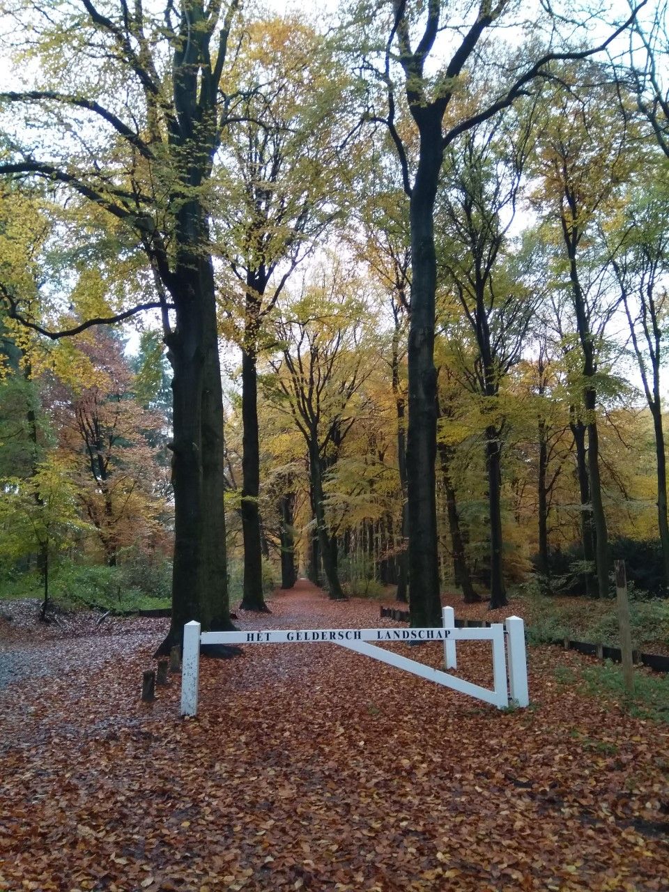 Akoestische herfst