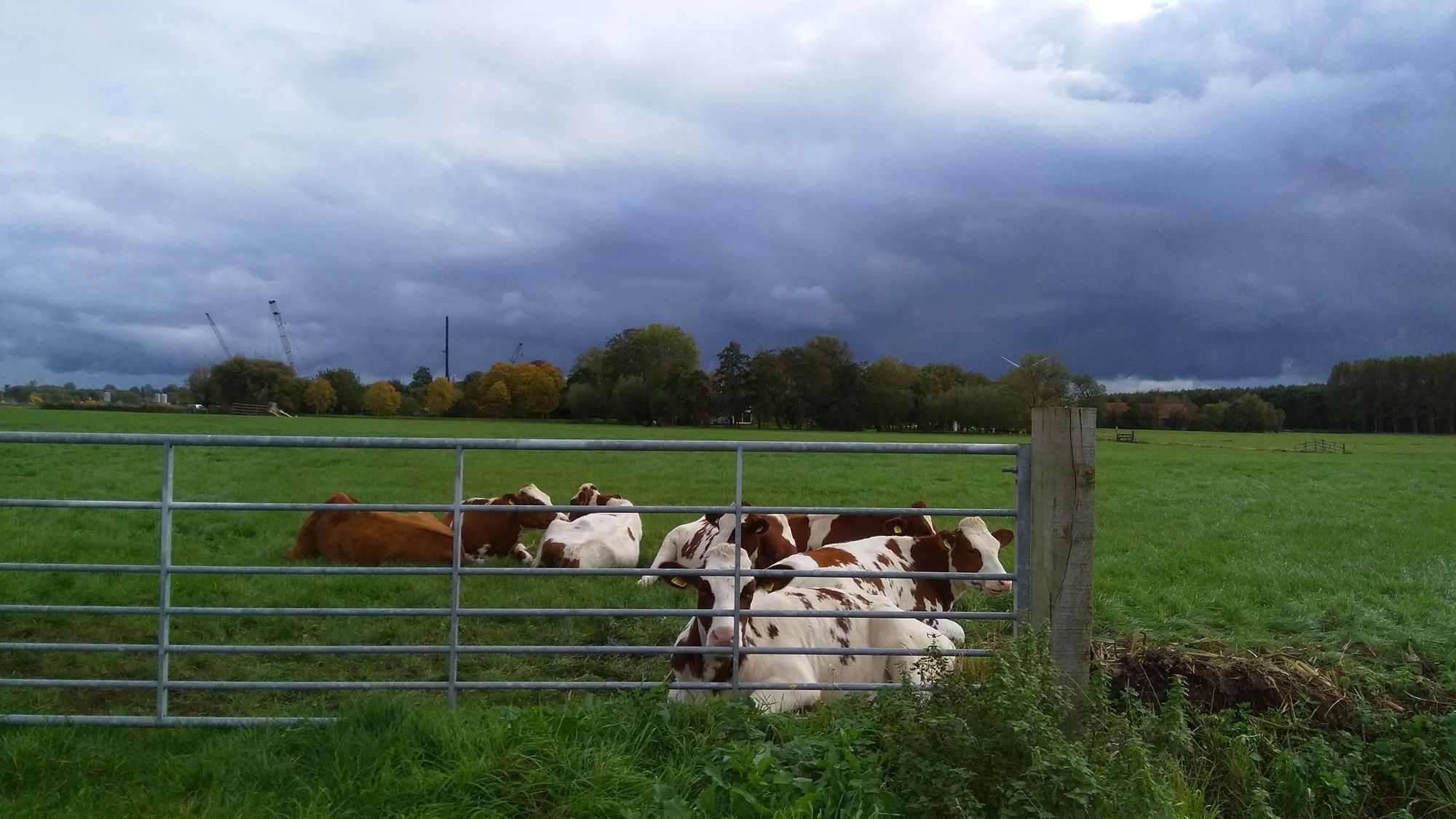 Keurmerken en labels?