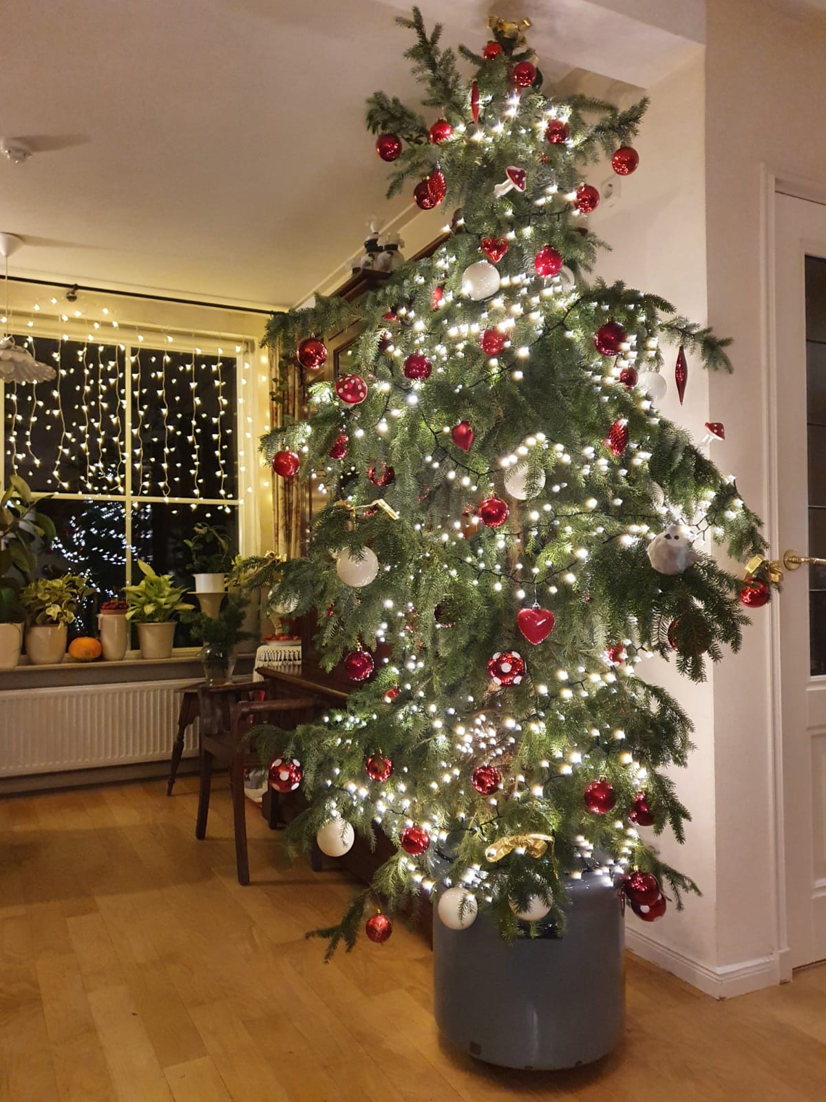 All I Want for Christmas Is... Sustainability