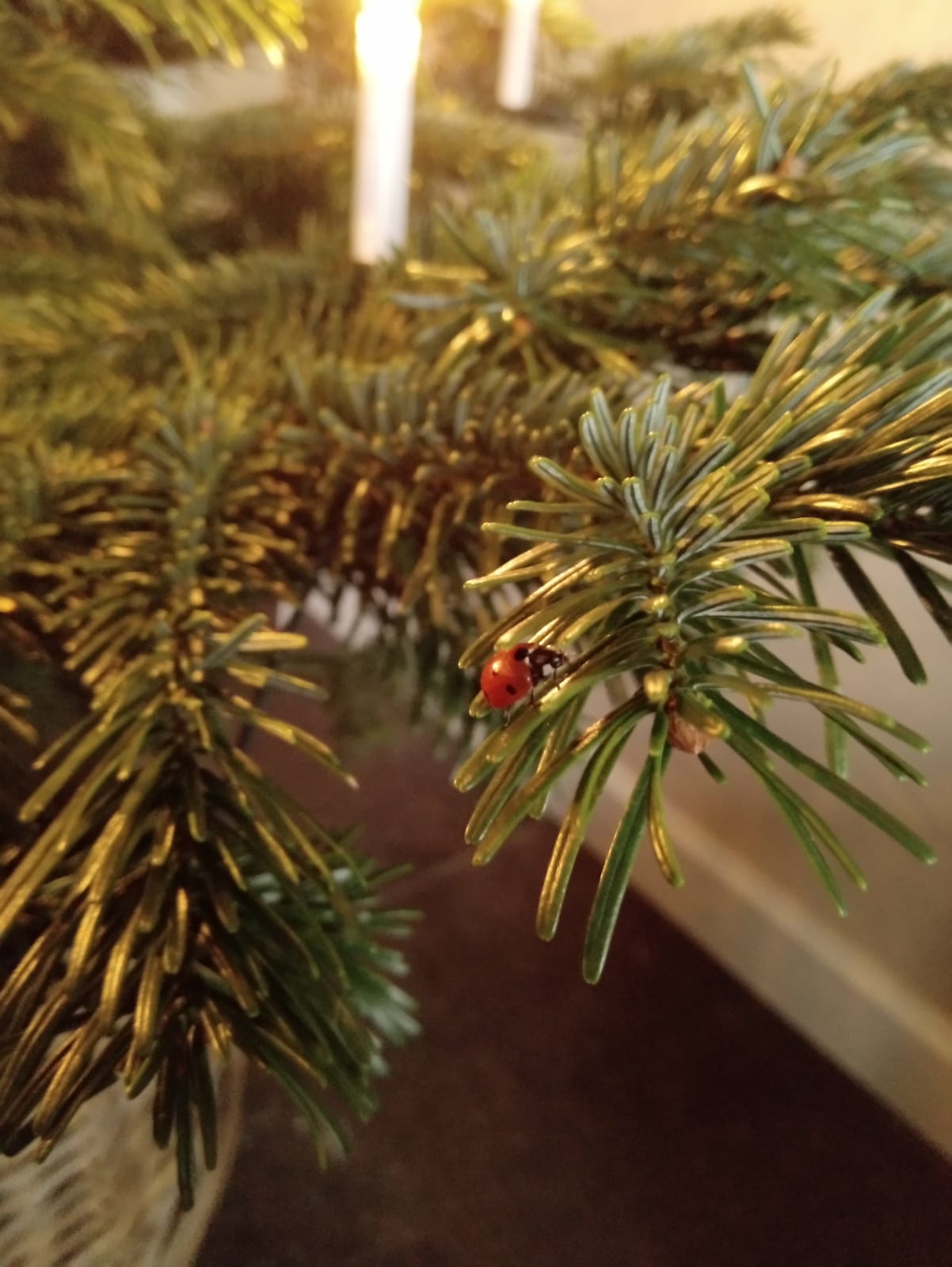 DIY eco-kerstversiering