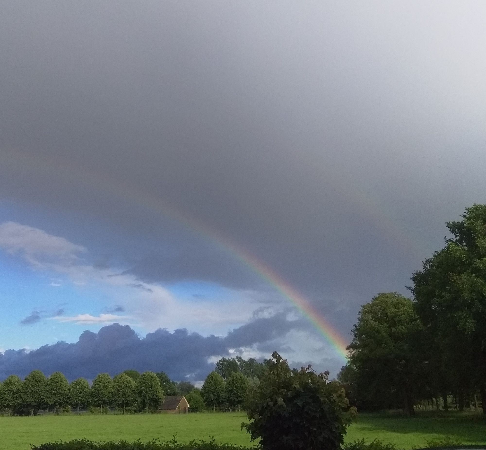 Milieuvriendelijke goede voornemens