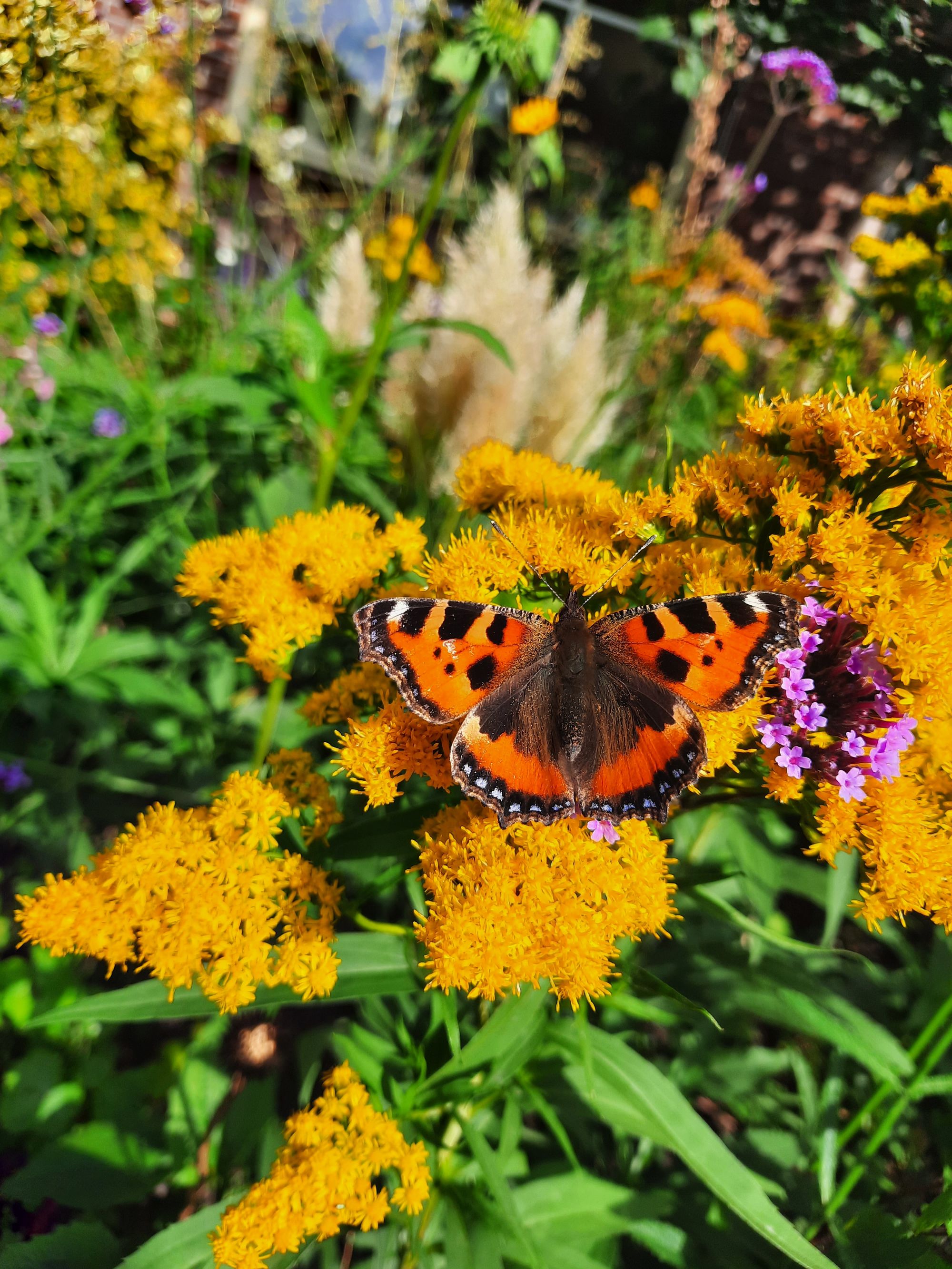 Groen Traineeship IVN