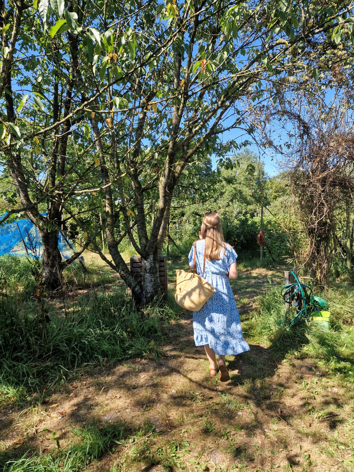 Pluktuin très jolie